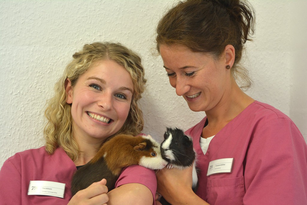 Tierarztpraxis Dr. Med. Vet. Almut Vockert patienten-heimtiere - Tierarztpraxis Dr. med. vet. Imke Körner